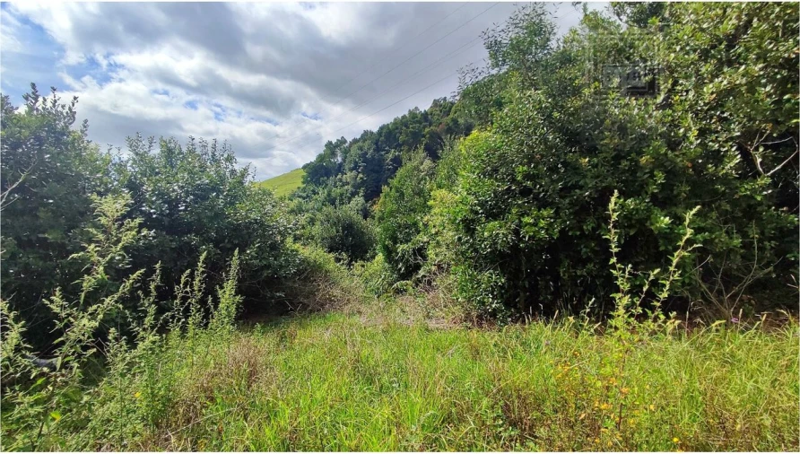 Terreno para Venda em Rosto do Cão (São Roque) Foto 20