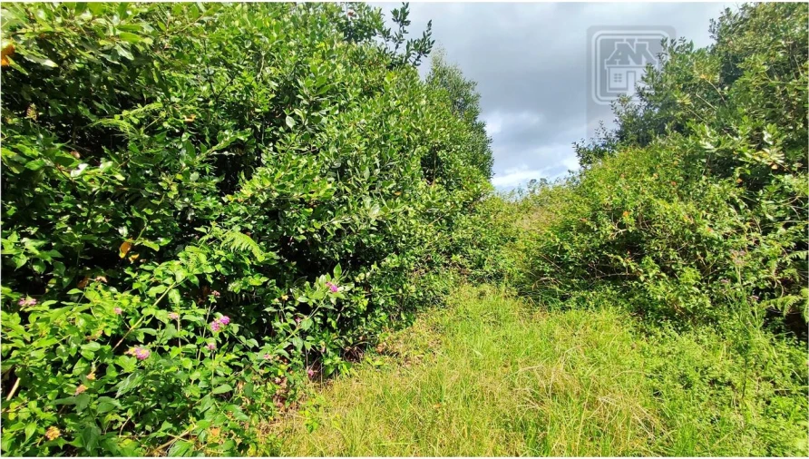 Terreno para Venda em Rosto do Cão (São Roque) Foto 22