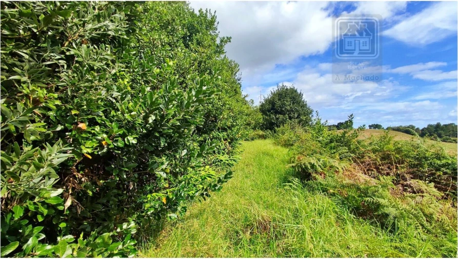 Terreno para Venda em Rosto do Cão (São Roque) Foto 24