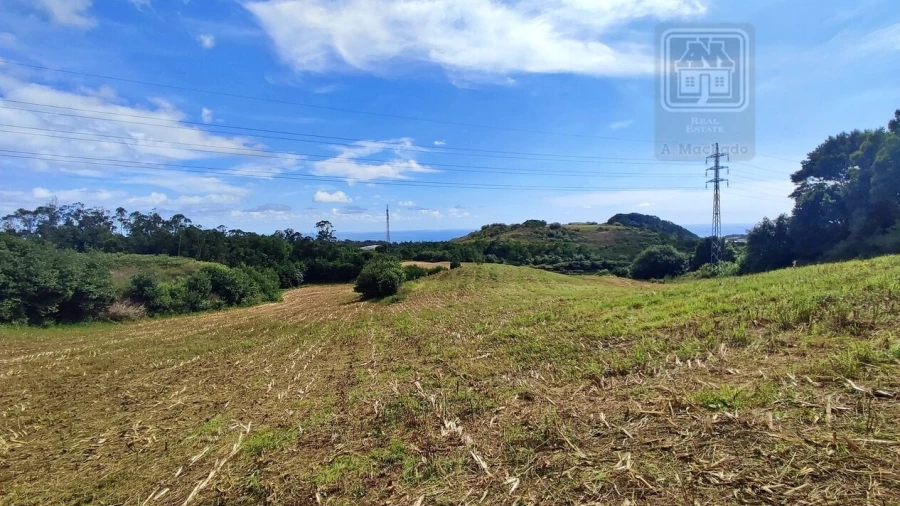 Terreno para Venda em Rosto do Cão (São Roque)