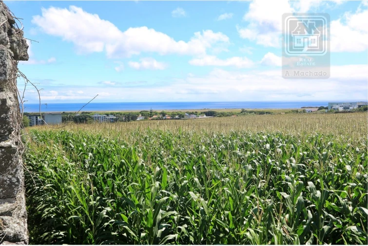 Terreno para Venda em Ponta Delgada (São José) Foto 1