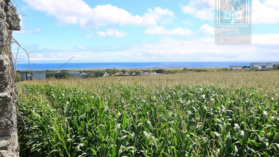 Terreno para Venda em Ponta Delgada (São José)