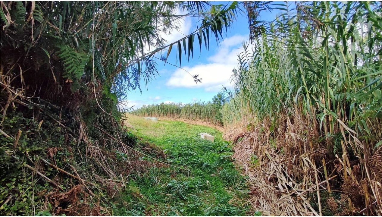 Terreno para Venda em Ajuda da Bretanha Foto 8