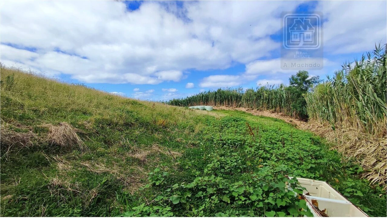 Terreno para Venda em Ajuda da Bretanha Foto 9
