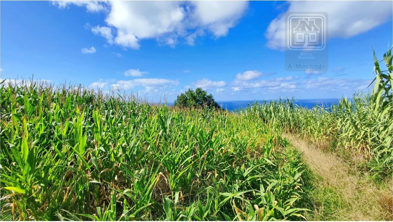 Terreno para Venda em Ajuda da Bretanha Foto 23