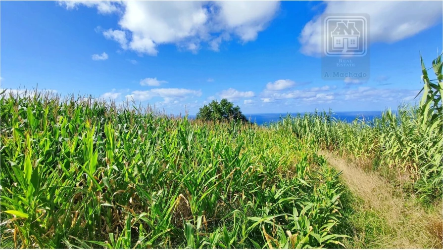 Terreno para Venda em Ajuda da Bretanha Foto 23
