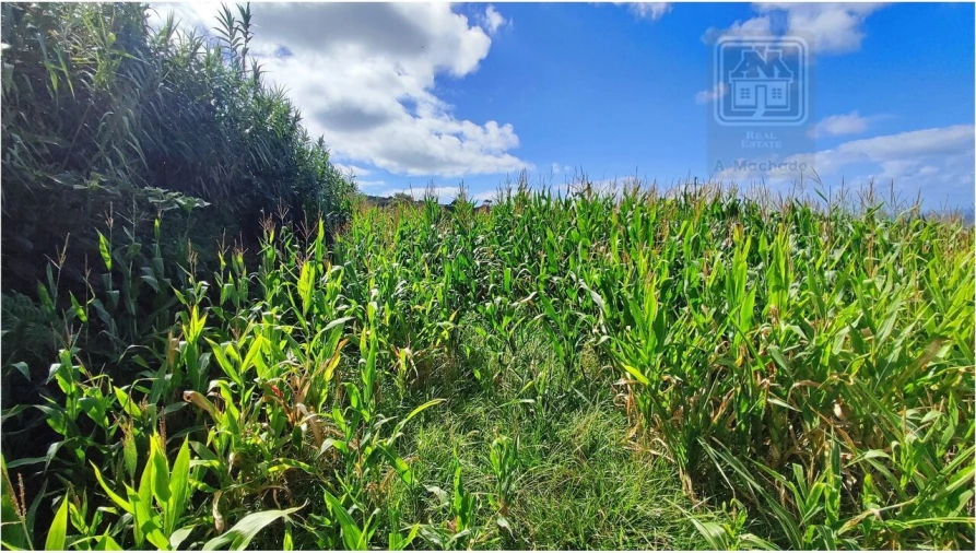 Terreno para Venda em Ajuda da Bretanha Foto 24