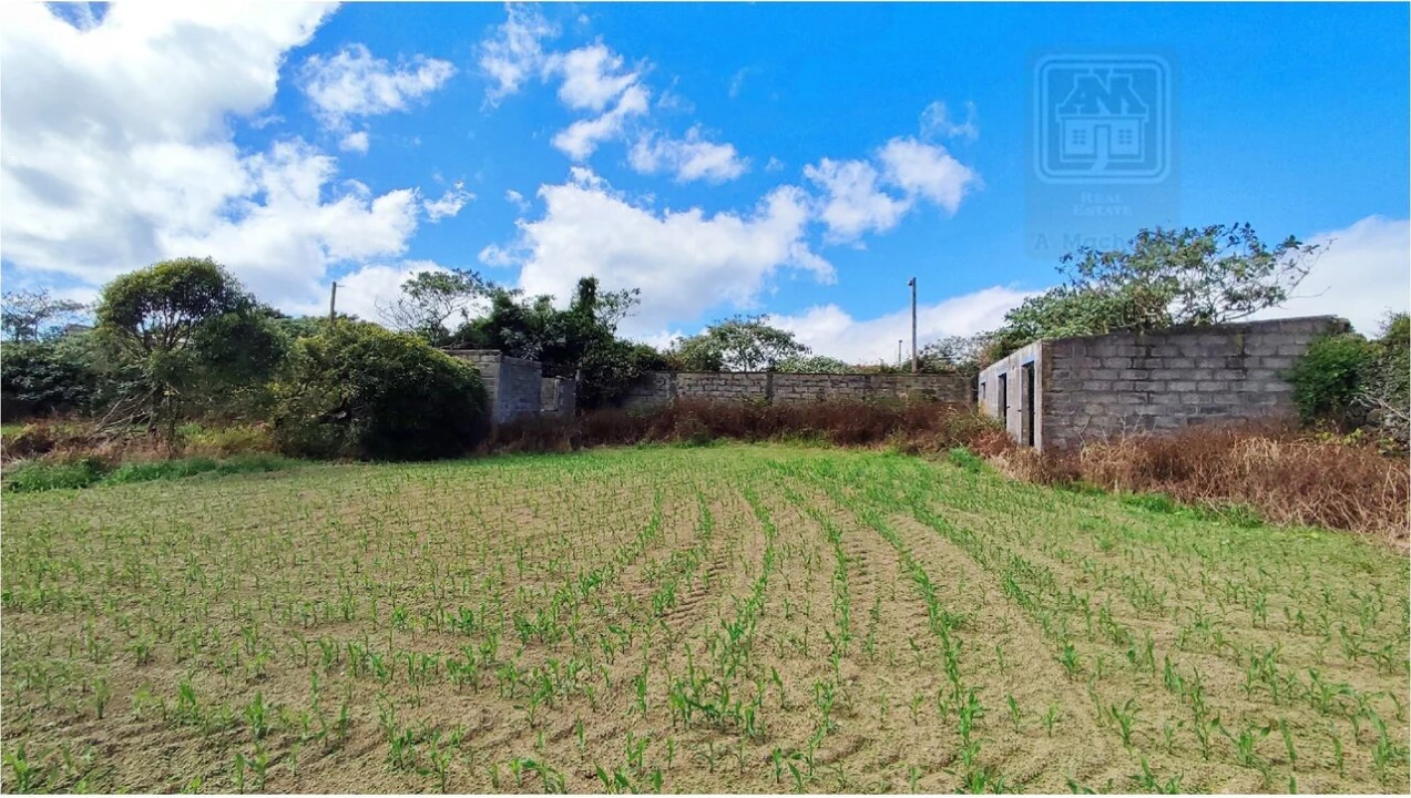 Terreno para Venda em Ponta Delgada (São José) Foto 6
