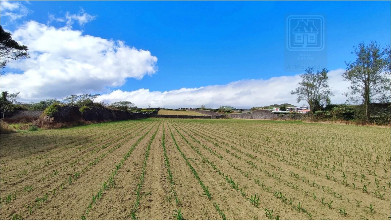 Terreno para Venda em Ponta Delgada (São José) Foto 8