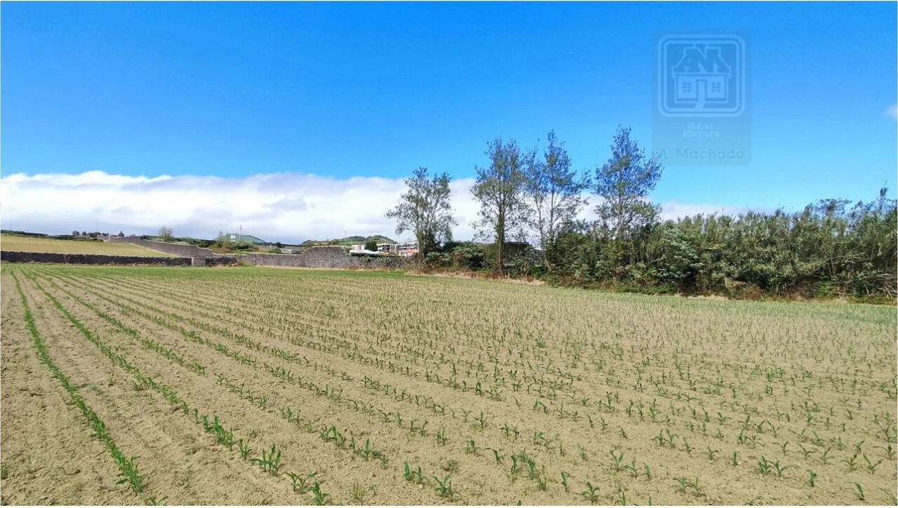 Terreno para Venda em Ponta Delgada (São José) Foto 9