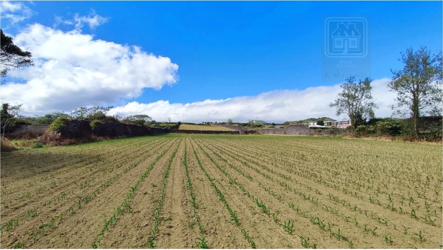 Terreno para Venda em Ponta Delgada (São José) Foto 8