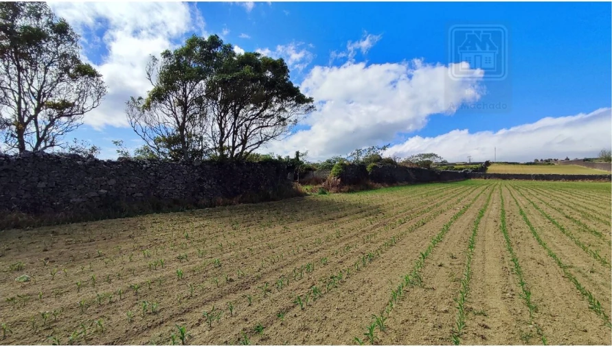 Terreno para Venda em Ponta Delgada (São José) Foto 10