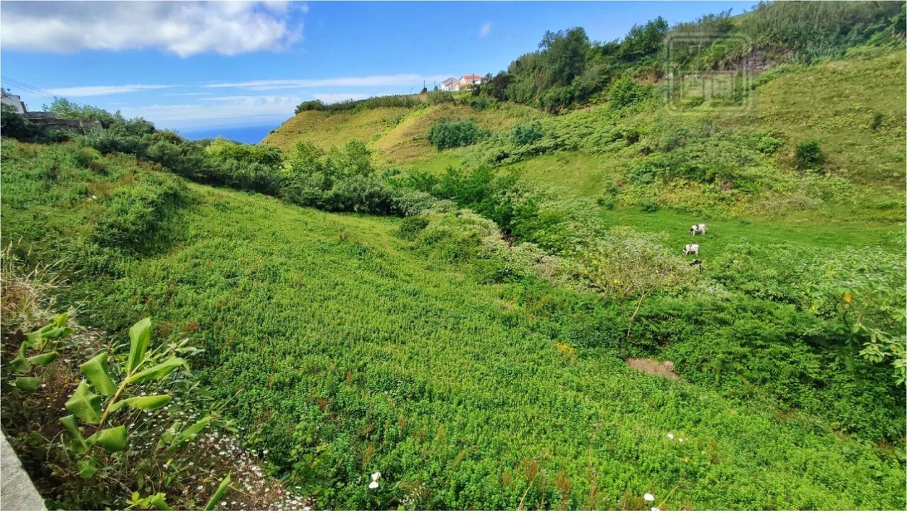 Terreno para Venda em Fenais da Ajuda Foto 11