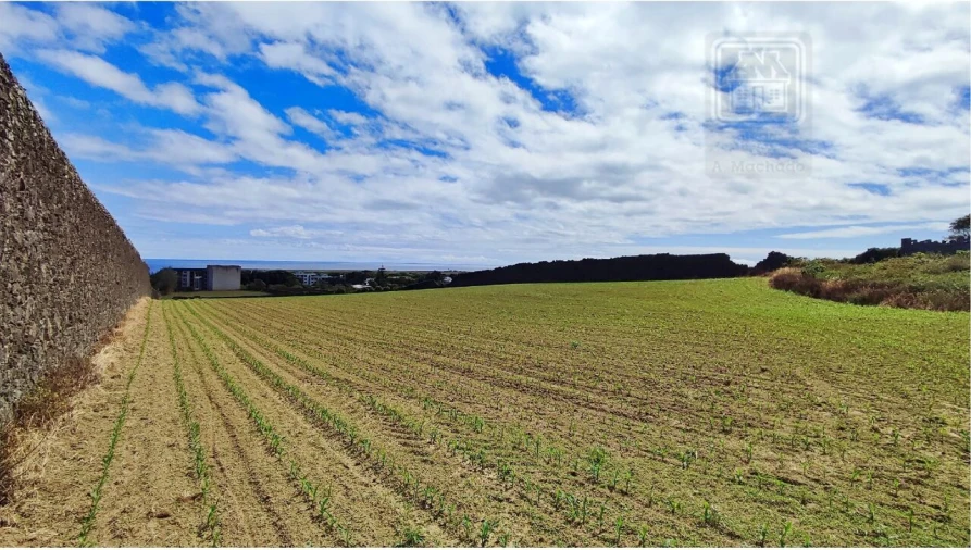 Terreno para Venda em Ponta Delgada (São José) Foto 7