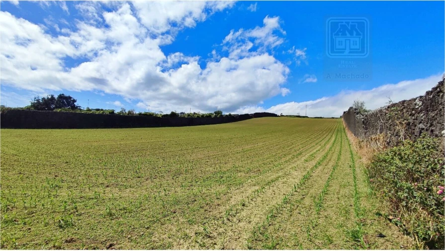 Terreno para Venda em Ponta Delgada (São José) Foto 17