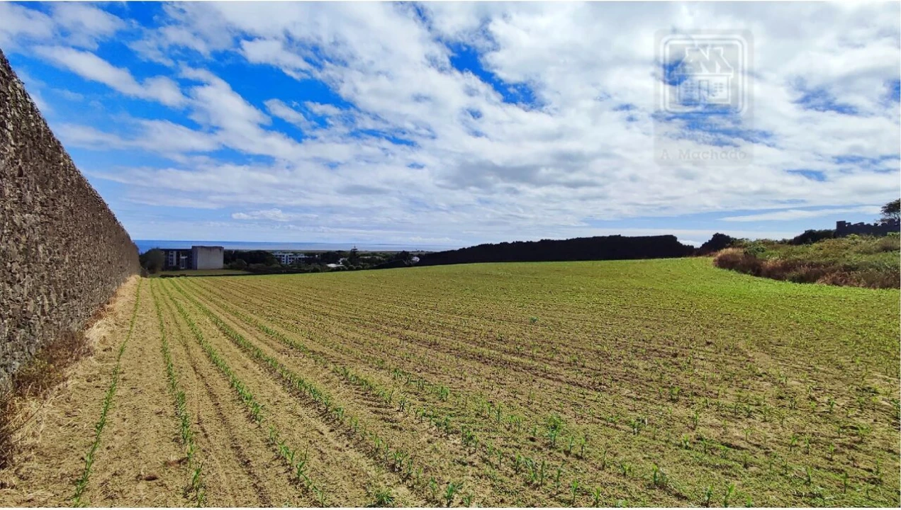 Terreno para Venda em Ponta Delgada (São José) Foto 13