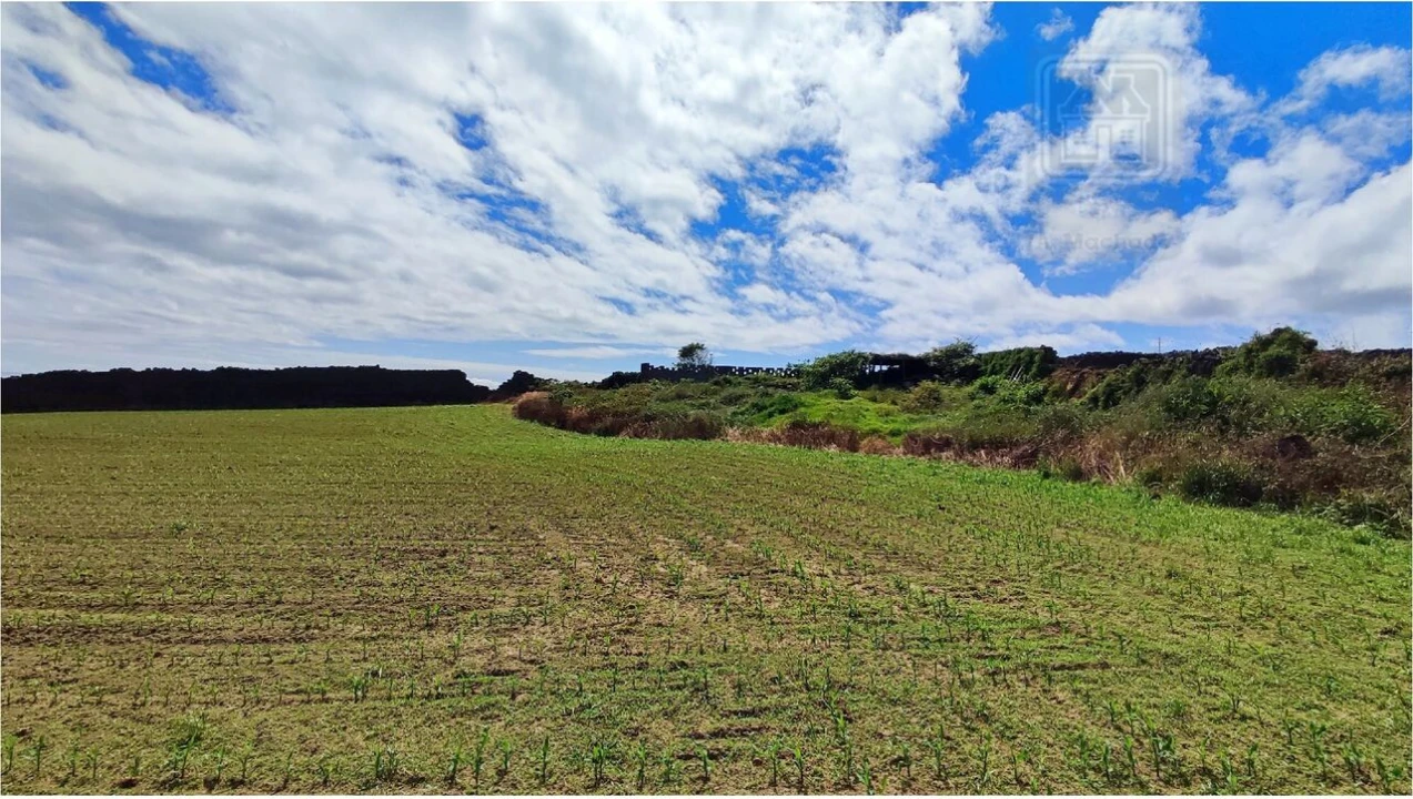 Terreno para Venda em Ponta Delgada (São José) Foto 14