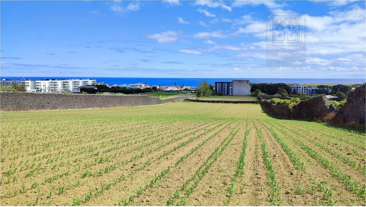 Terreno para Venda em Ponta Delgada (São José) Foto 18