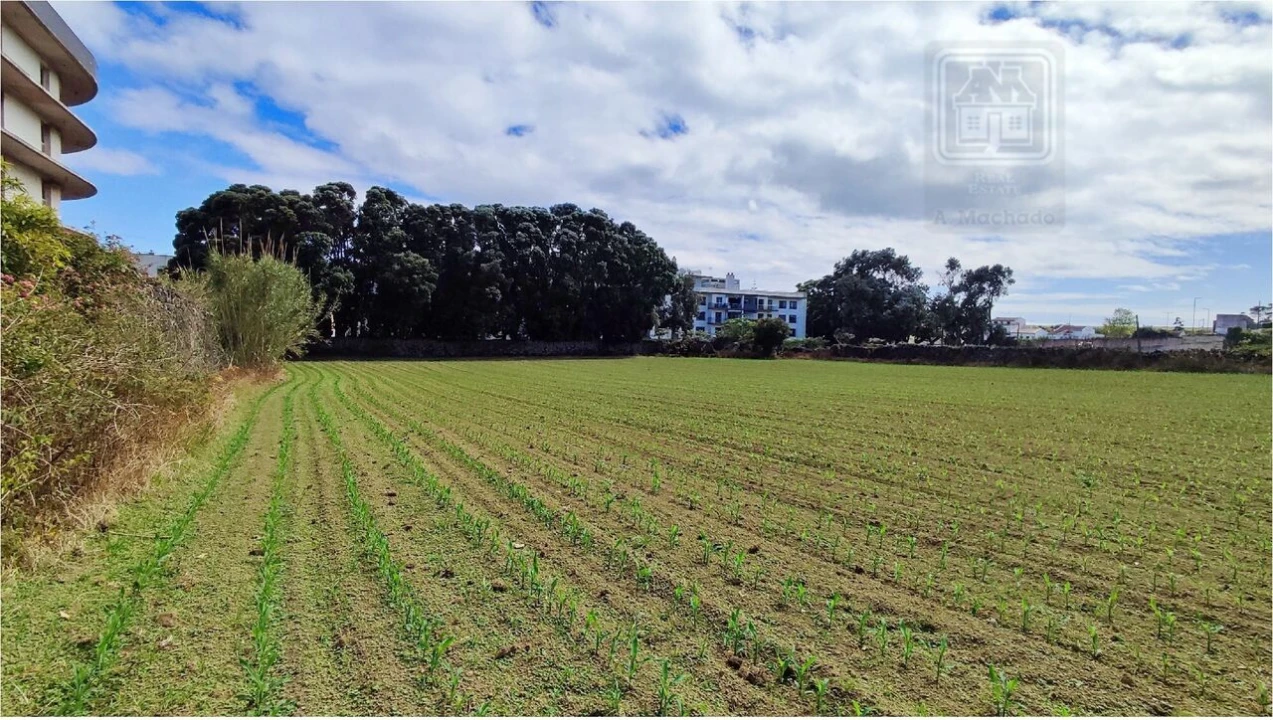 Terreno para Venda em Ponta Delgada (São José) Foto 45