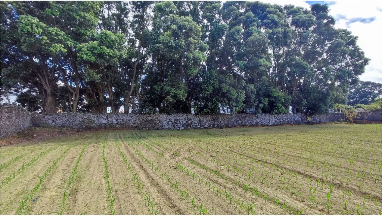 Terreno para Venda em Ponta Delgada (São José) Foto 47