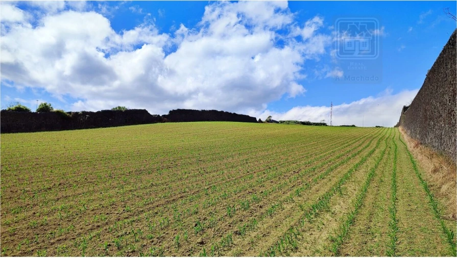 Terreno para Venda em Ponta Delgada (São José) Foto 20