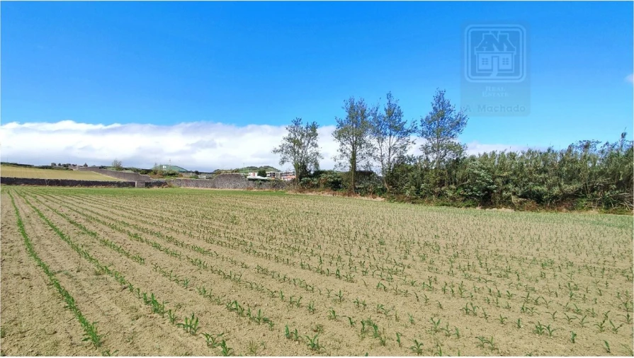 Terreno para Venda em Ponta Delgada (São José) Foto 31