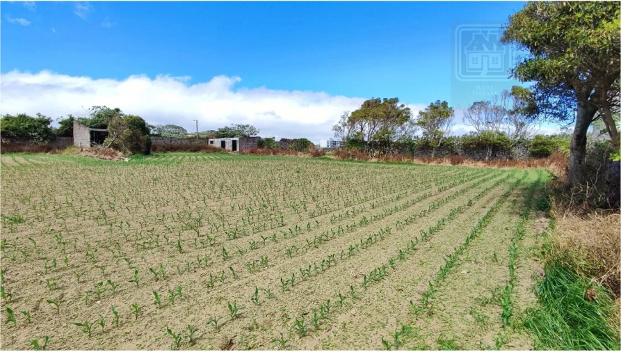 Terreno para Venda em Ponta Delgada (São José) Foto 42