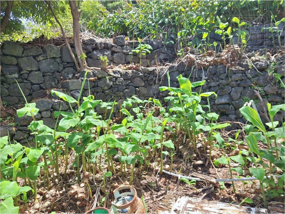 Moradia T2 para Venda em São Roque do Pico Foto 14