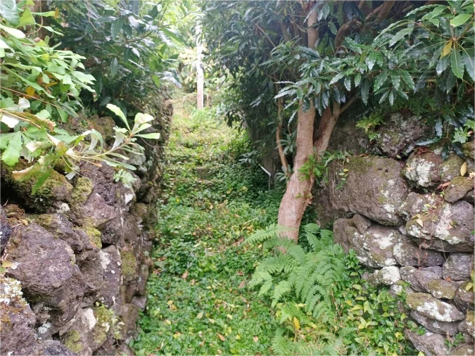 Moradia T2 para Venda em São Roque do Pico Foto 12