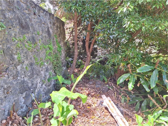 Moradia T2 para Venda em São Roque do Pico Foto 15