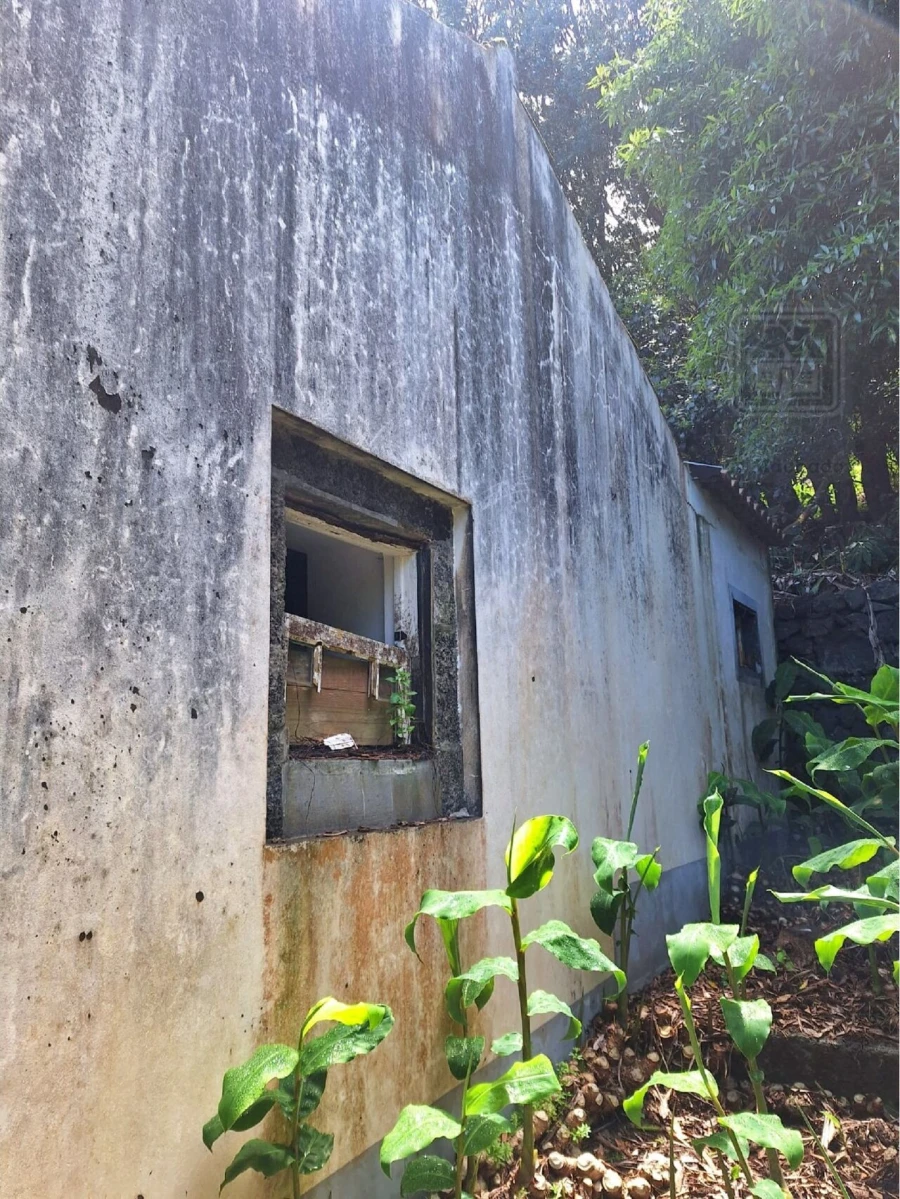 Moradia T2 para Venda em São Roque do Pico Foto 29