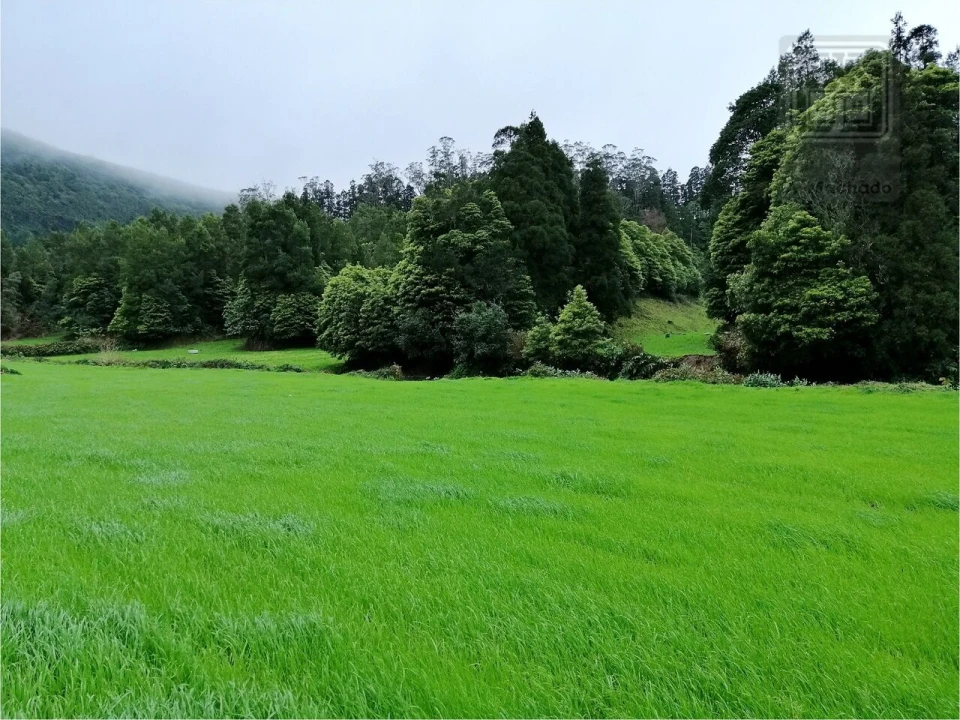 Terreno para Venda em Sete Cidades Foto 6