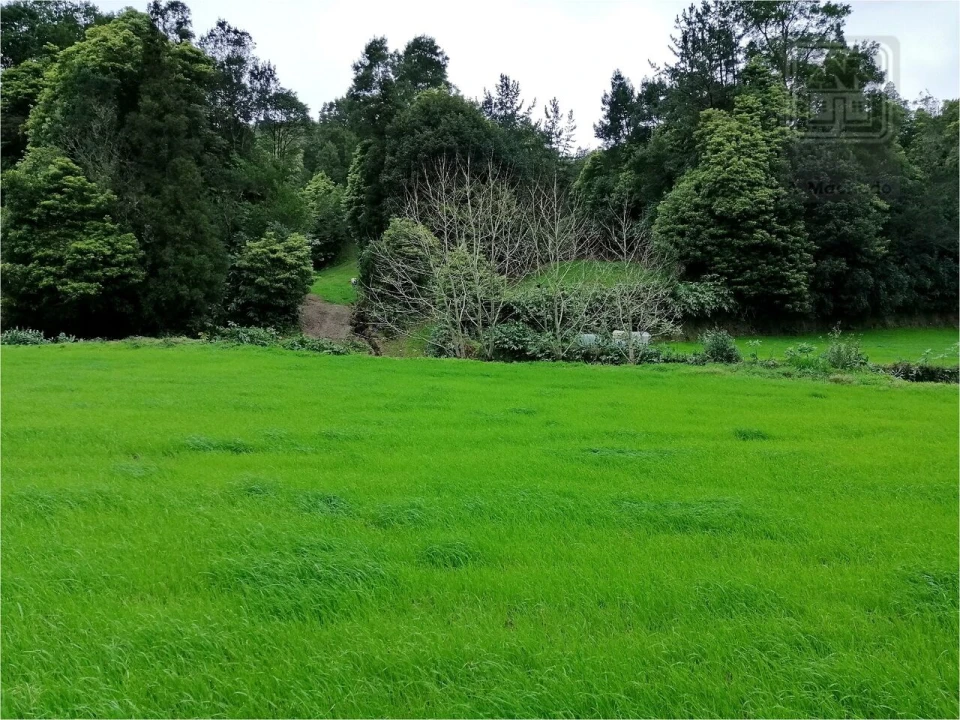 Terreno para Venda em Sete Cidades Foto 8