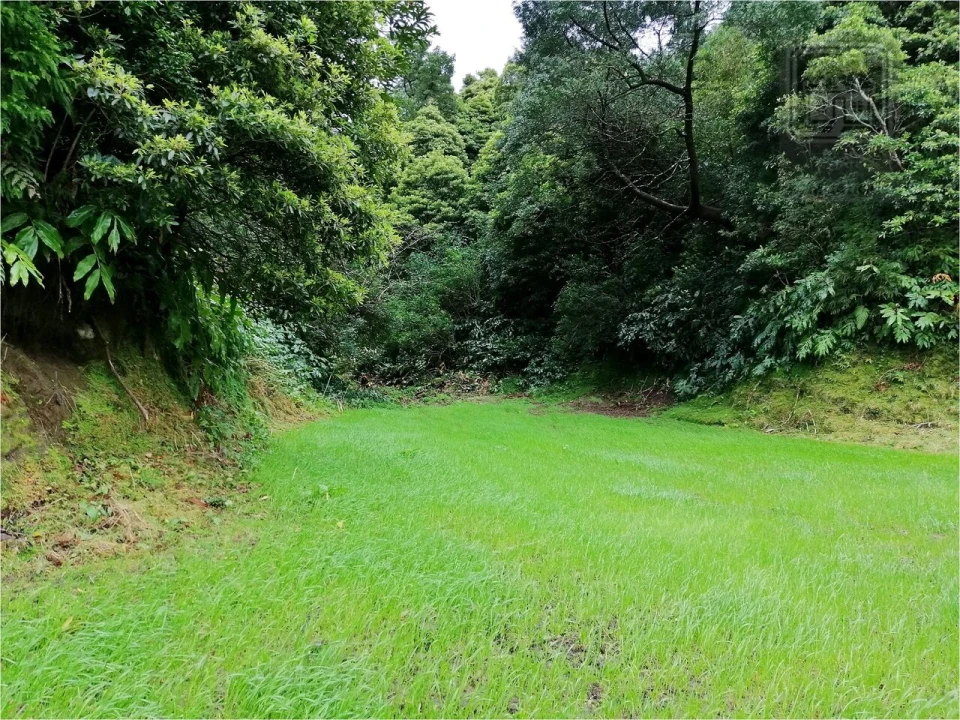 Terreno para Venda em Sete Cidades Foto 10