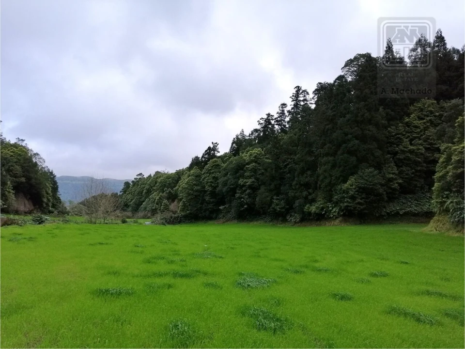 Terreno para Venda em Sete Cidades Foto 14