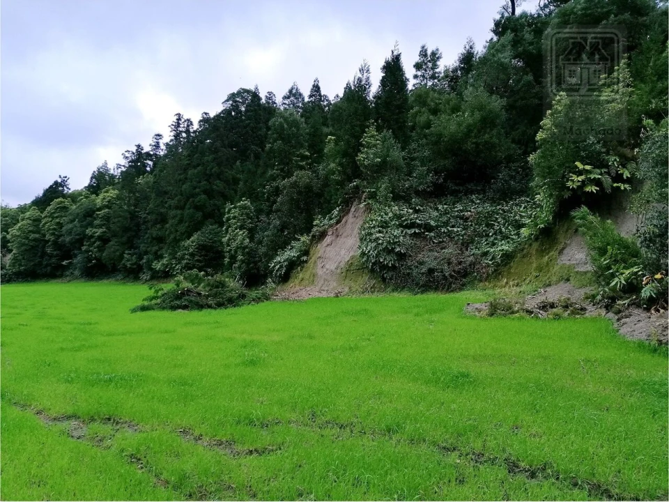 Terreno para Venda em Sete Cidades Foto 17