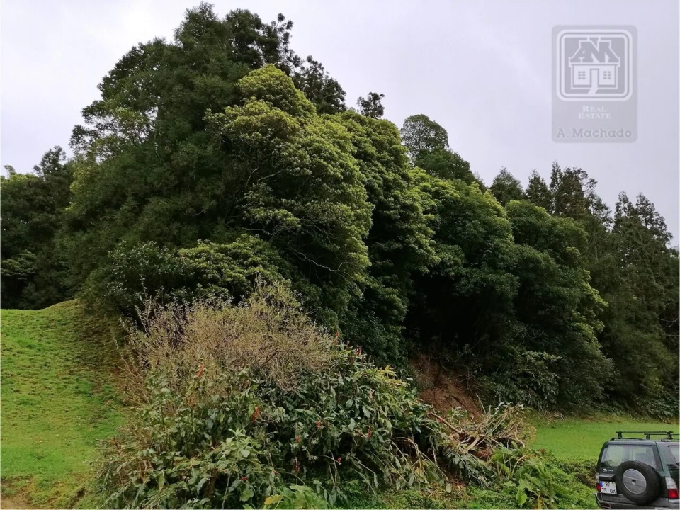 Terreno para Venda em Sete Cidades Foto 29