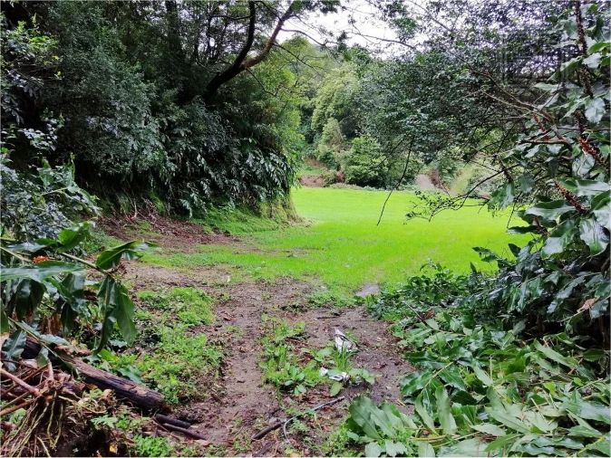 Terreno para Venda em Sete Cidades Foto 12