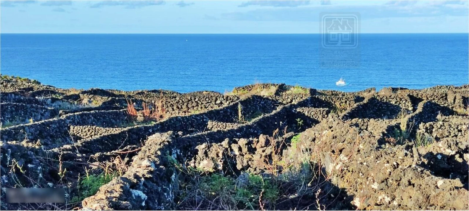 Terreno para Venda em Candelaria Foto 6