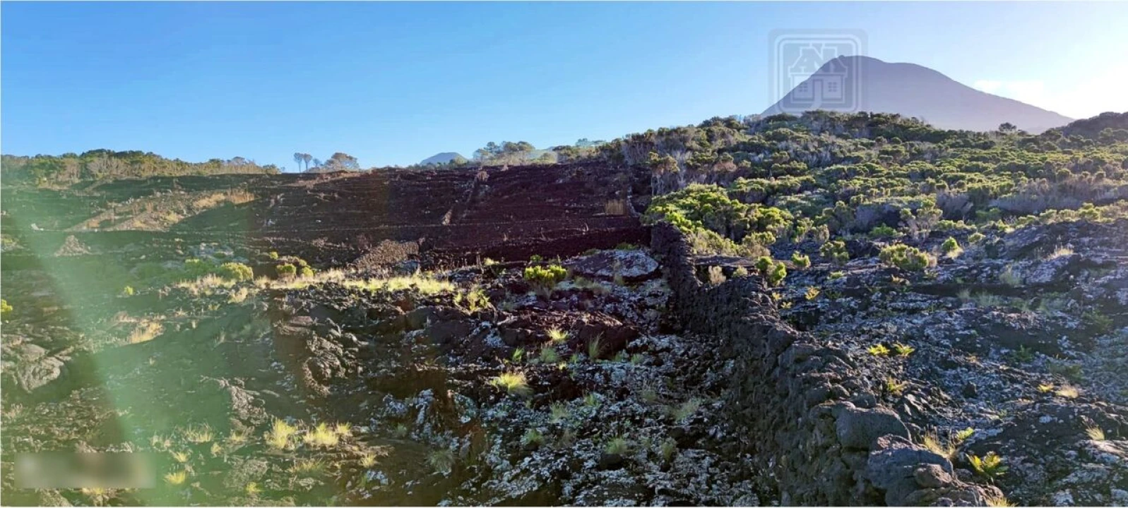 Terreno para Venda em Candelaria Foto 10