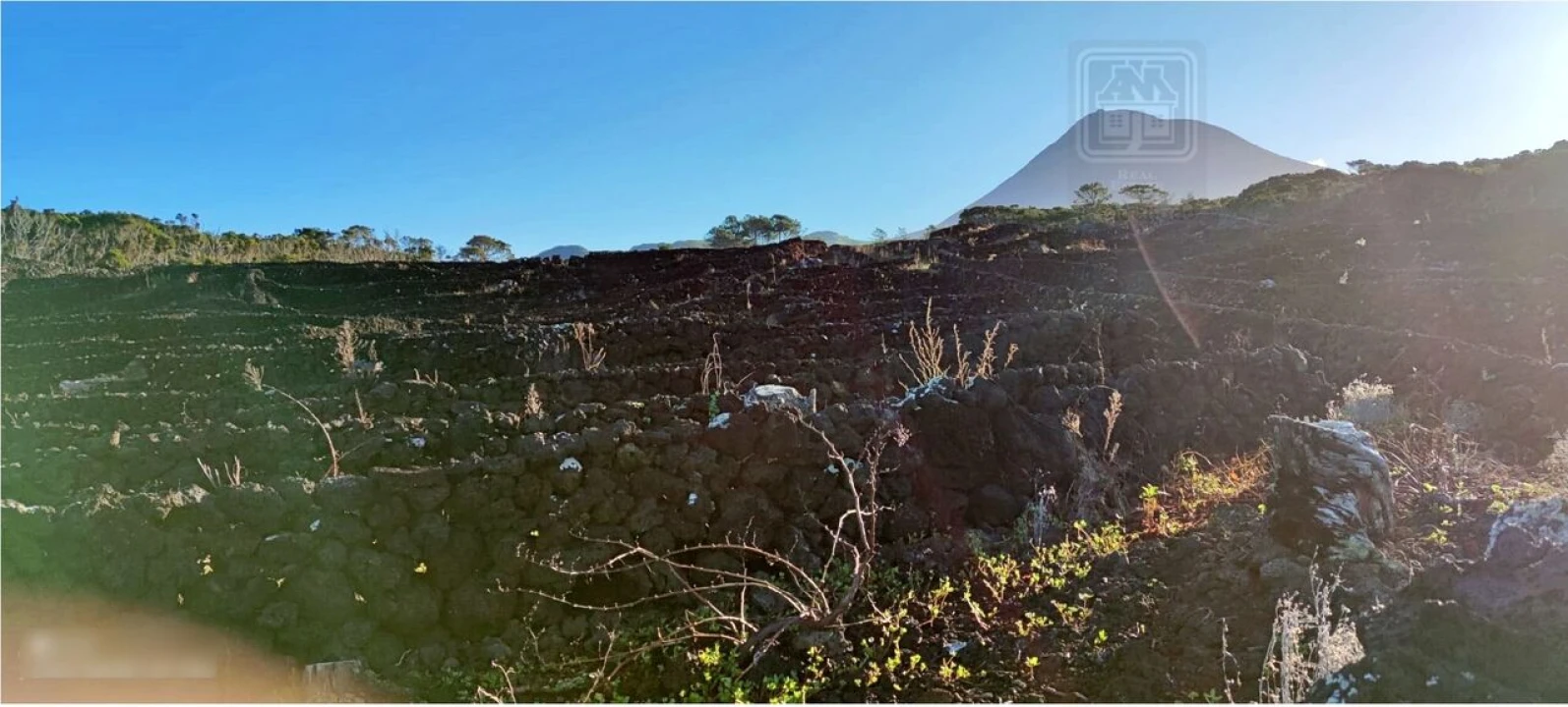 Terreno para Venda em Candelaria Foto 11