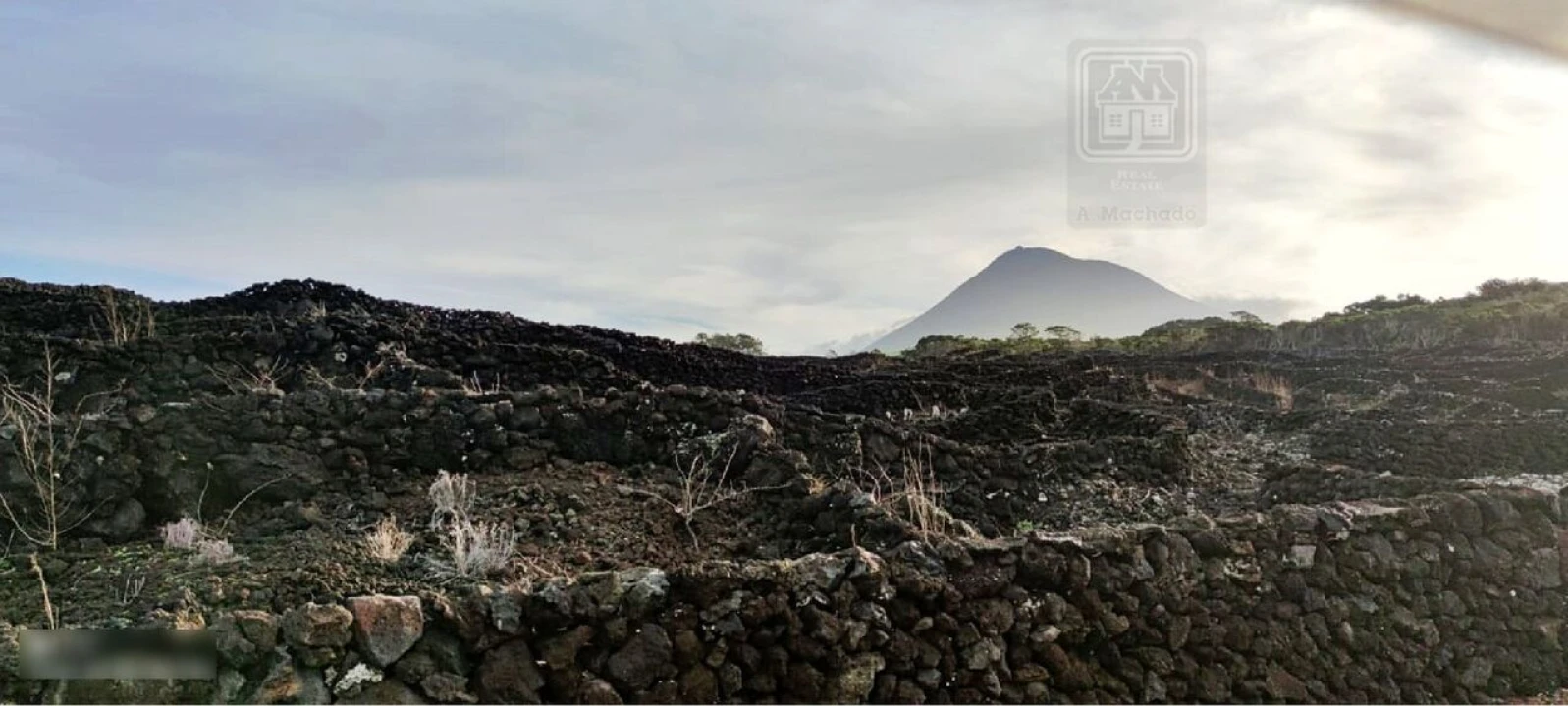 Terreno para Venda em Candelaria Foto 14