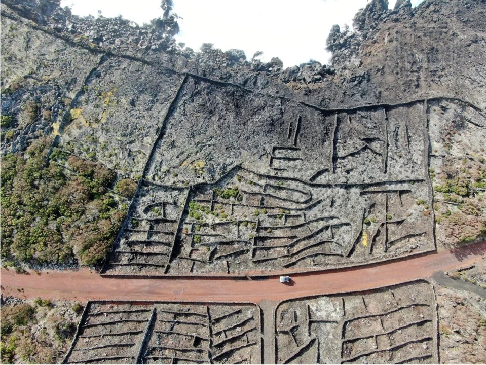 Terreno para Venda em Candelaria Foto 15