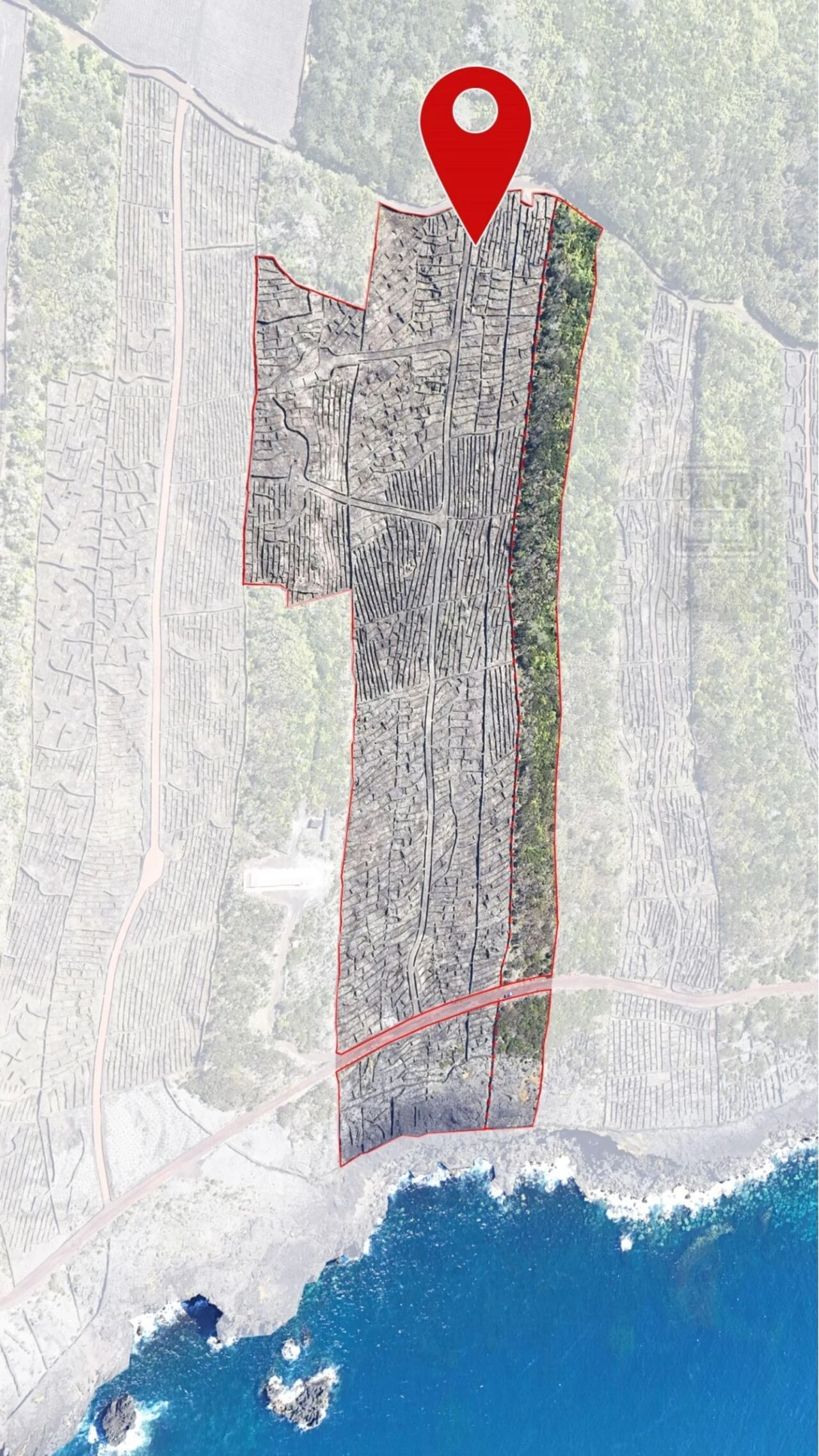 Terreno para Venda em Candelaria Foto 4