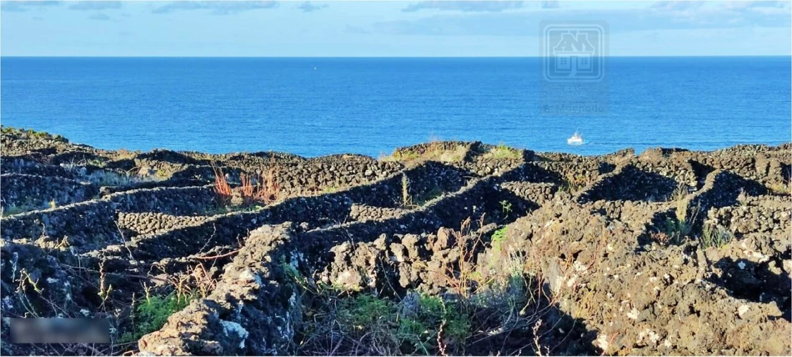 Terreno para Venda em Candelaria Foto 6