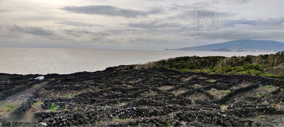 Terreno para Venda em Candelaria Foto 9