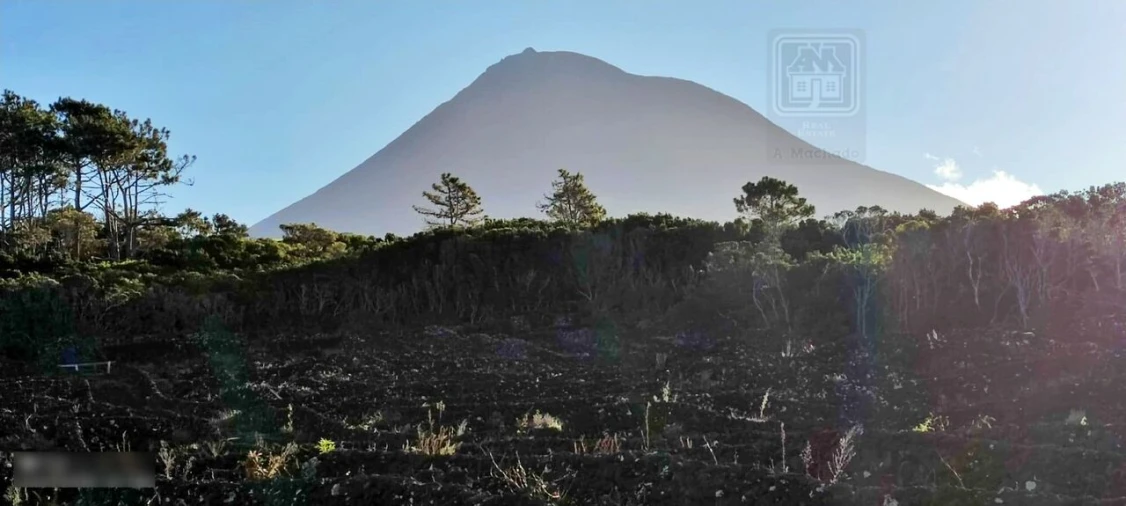 Terreno para Venda em Candelaria Foto 12