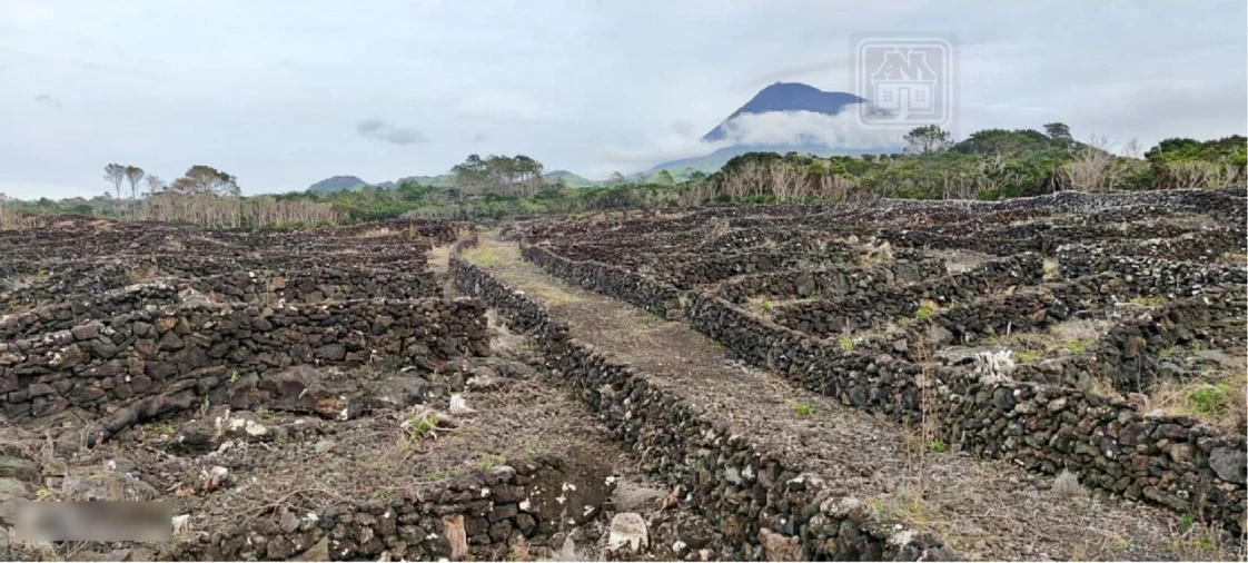Terreno para Venda em Candelaria Foto 13