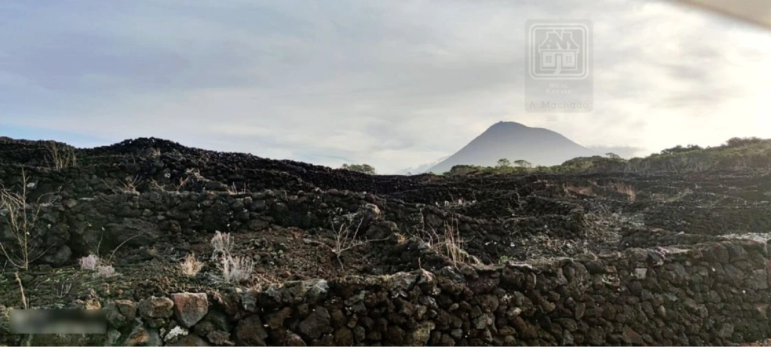 Terreno para Venda em Candelaria Foto 14