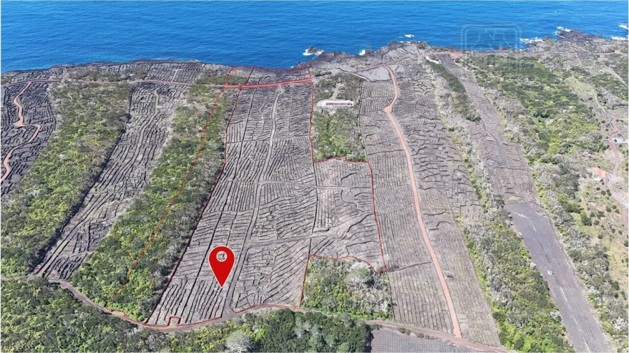 Terreno para Venda em Candelaria